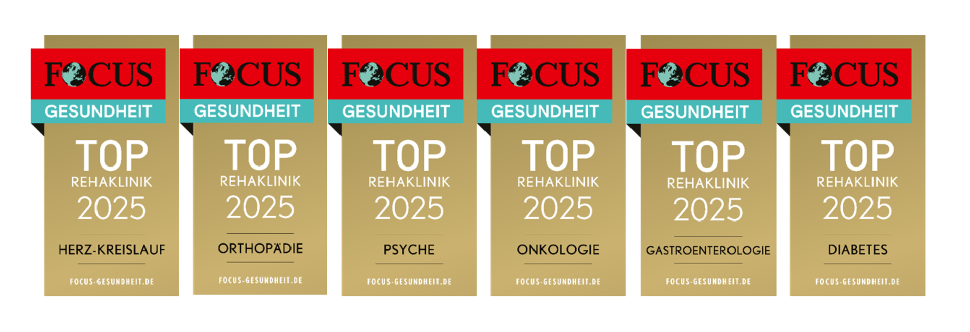 FOCUS-REIHE_2025.PNG